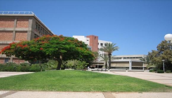 Overlooking the Law faculty and The Library's Buildings
